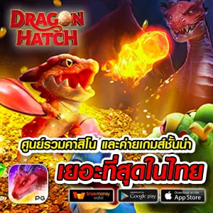 pgking login